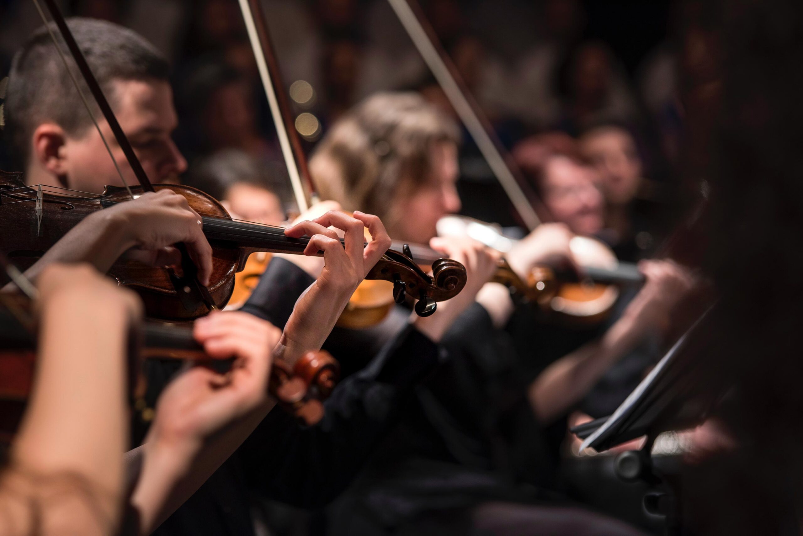 Gros plan sur des violonistes en concert, archets et mains en mouvement