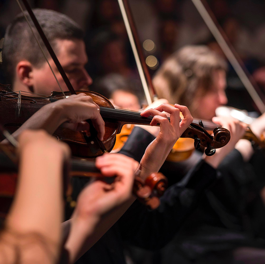 Gros plan sur des violonistes en concert, archets et mains en mouvement