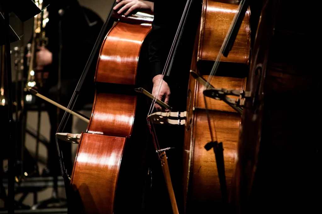 Détail de deux contrebasses lors d'un concert au Conservatoire Henri Dutilleux